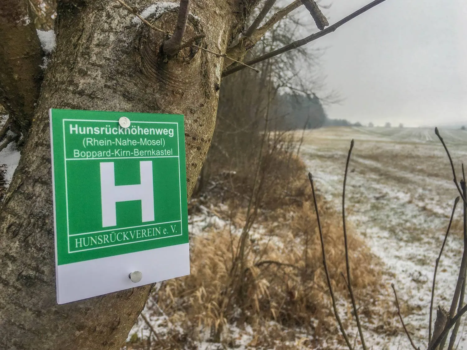 Grünes Wegzeichen mit weißem H an einem Pfosten am Waldrand