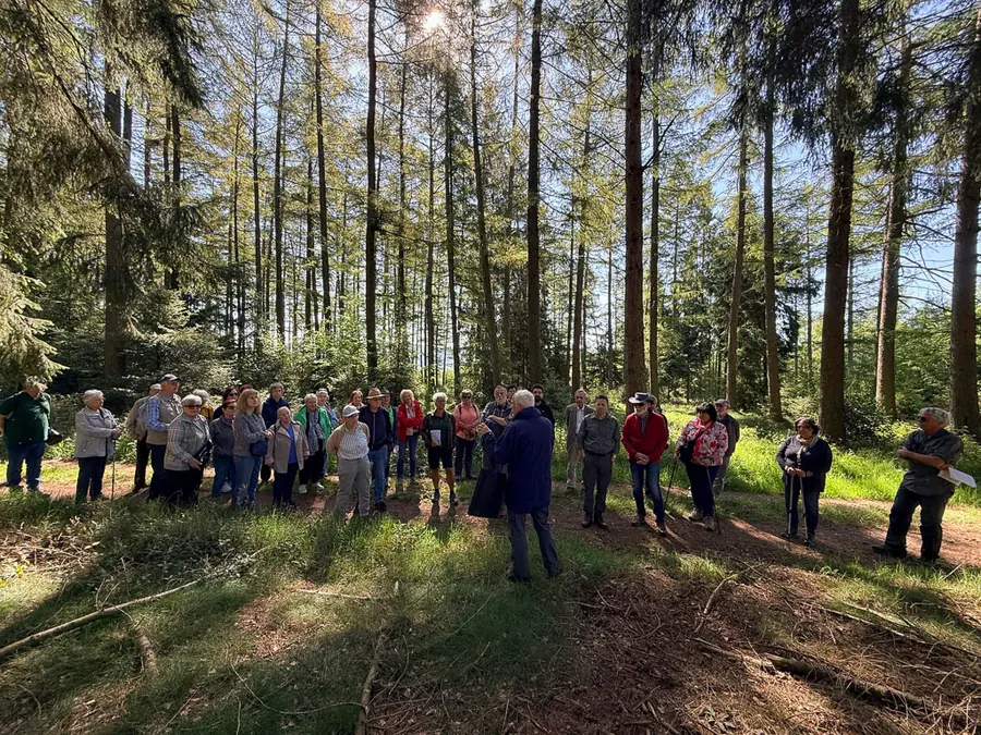 Große Exkursionsgruppe im lichten Wald