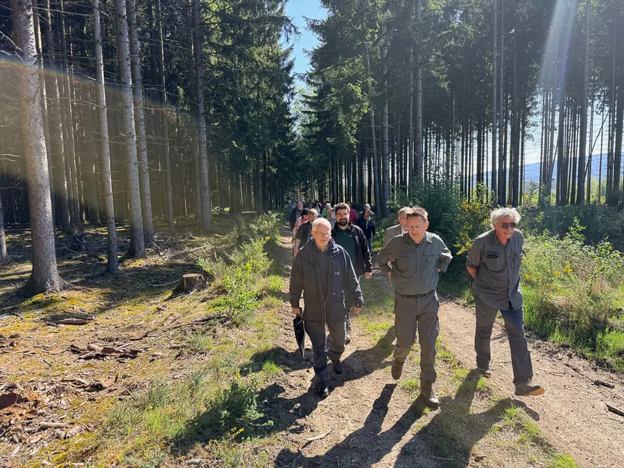 Exkursionsgruppe in einem lichten Fichtenwald
