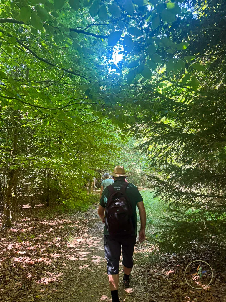 Wanderin auf einem schmalen Pfad durch grünen Mischwald im Nationalpark
